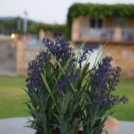 Kalamaki  Alexandros Seaside Family Apartments & Villas - Paradise, 7' From Petalidi מראה חיצוני תמונה