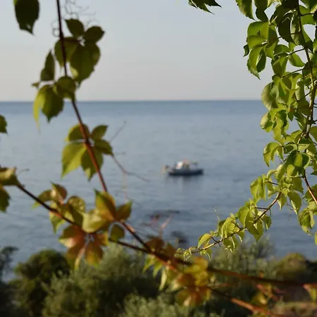 Kalamaki  Alexandros Seaside Family Apartments & Villas - Paradise, 7' From Petalidi מראה חיצוני תמונה