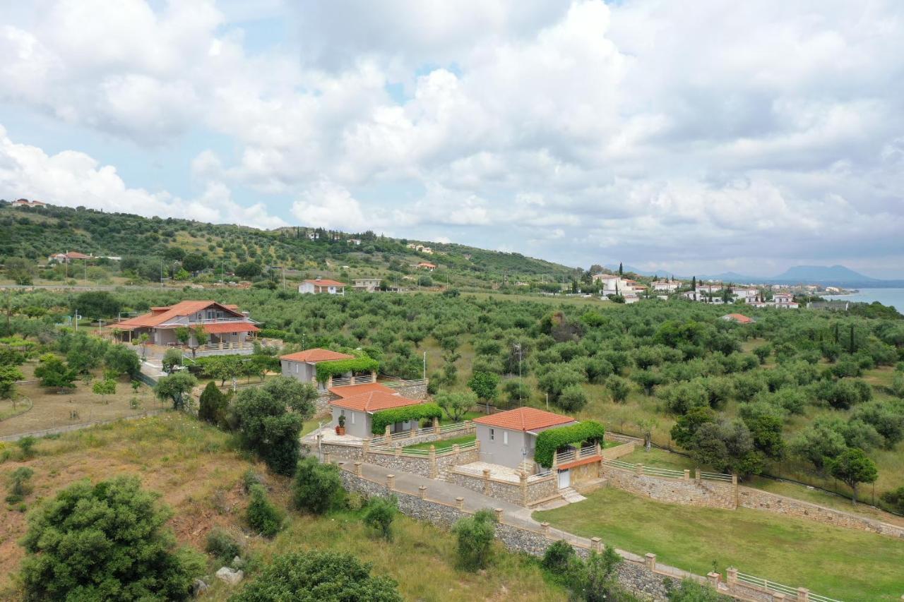 Alexandros Apartments&αλέξανδρος Διαμέρισμα