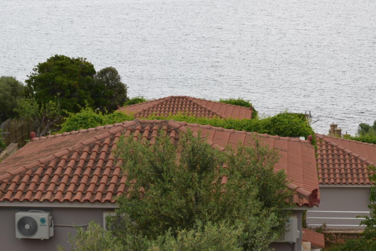 Alexandros Apartments&αλέξανδρος