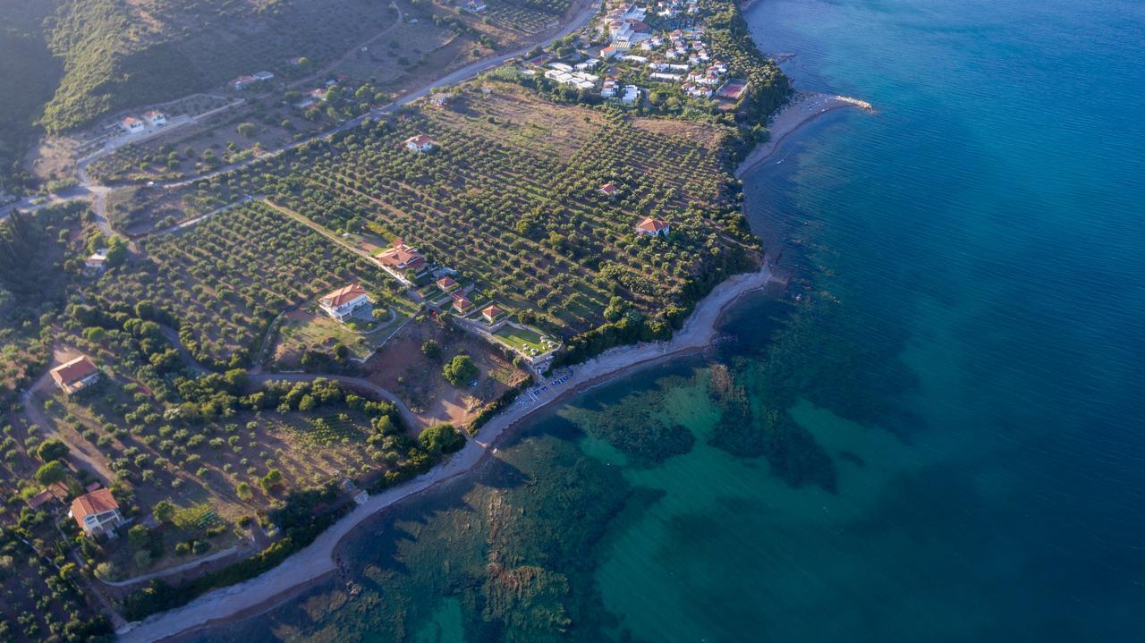 Alexandros Apartments&αλέξανδρος Διαμέρισμα