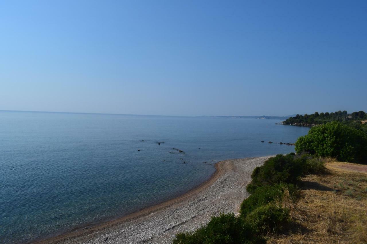 Alexandros Apartments&αλέξανδρος