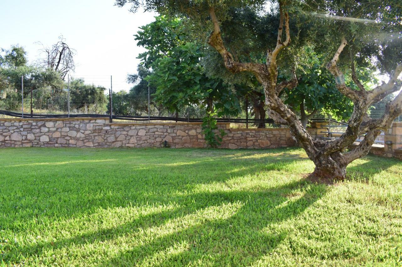 Alexandros Apartments&αλέξανδρος