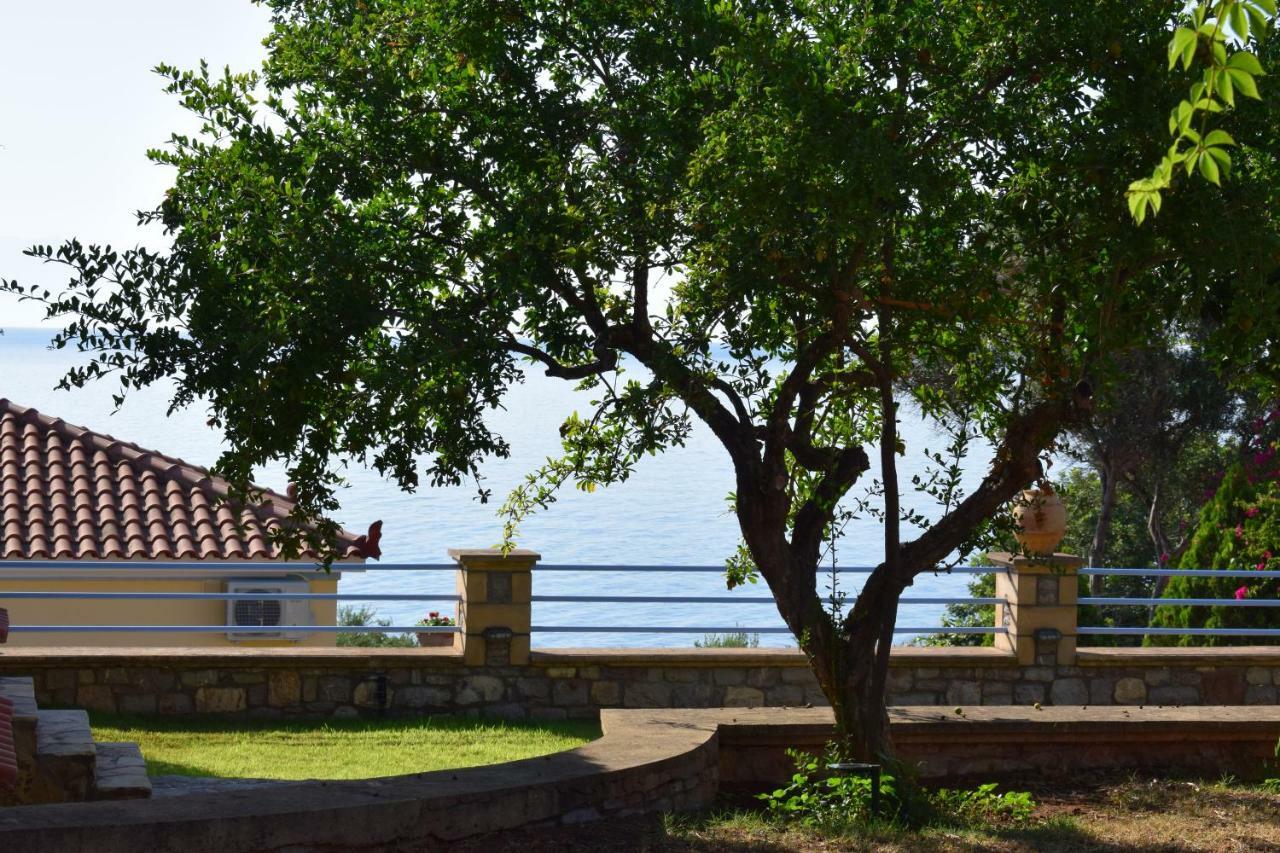 Διαμέρισμα Alexandros Apartments&αλέξανδρος