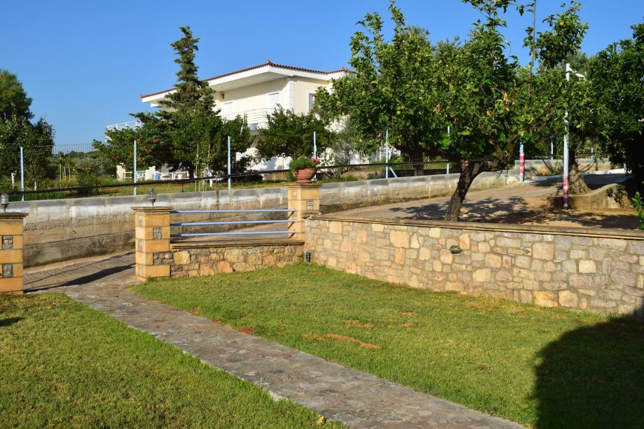 Alexandros Apartments&αλέξανδρος