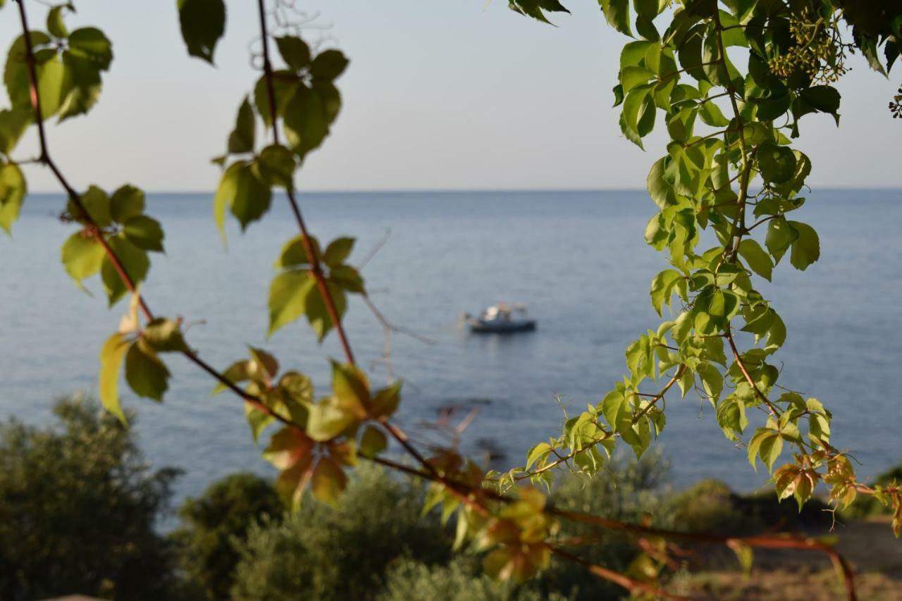 Alexandros Apartments&αλέξανδρος Διαμέρισμα *