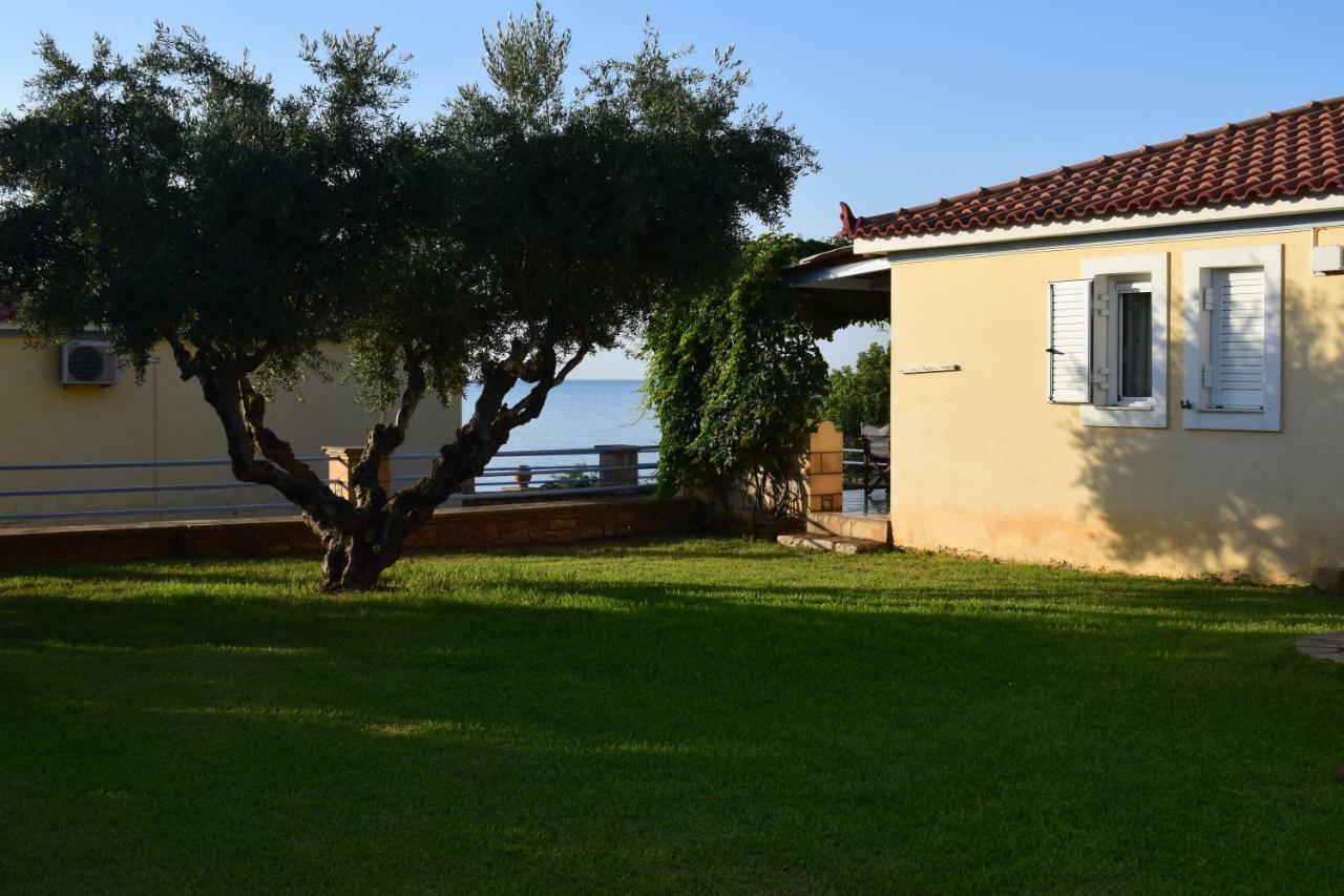 Alexandros Apartments&αλέξανδρος