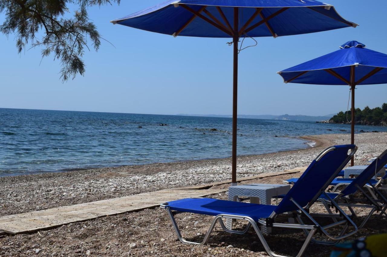 Alexandros Apartments&αλέξανδρος Διαμέρισμα *
